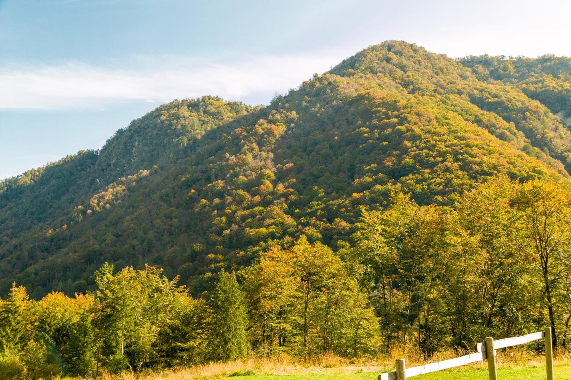 Agriturismo Pian Dei Tass バルチス エクステリア 写真