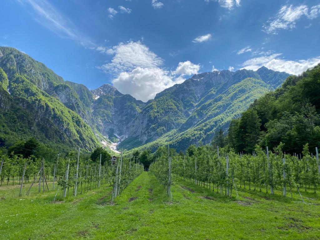 Agriturismo Pian Dei Tass バルチス エクステリア 写真
