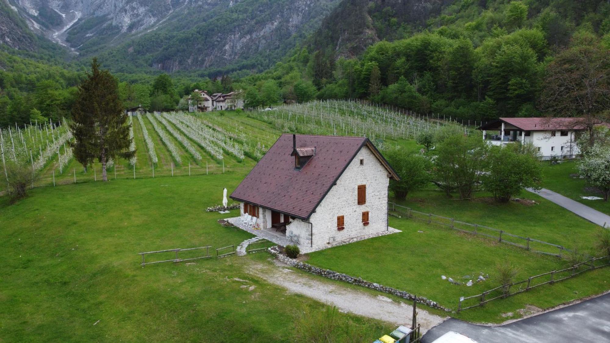 Agriturismo Pian Dei Tass バルチス エクステリア 写真