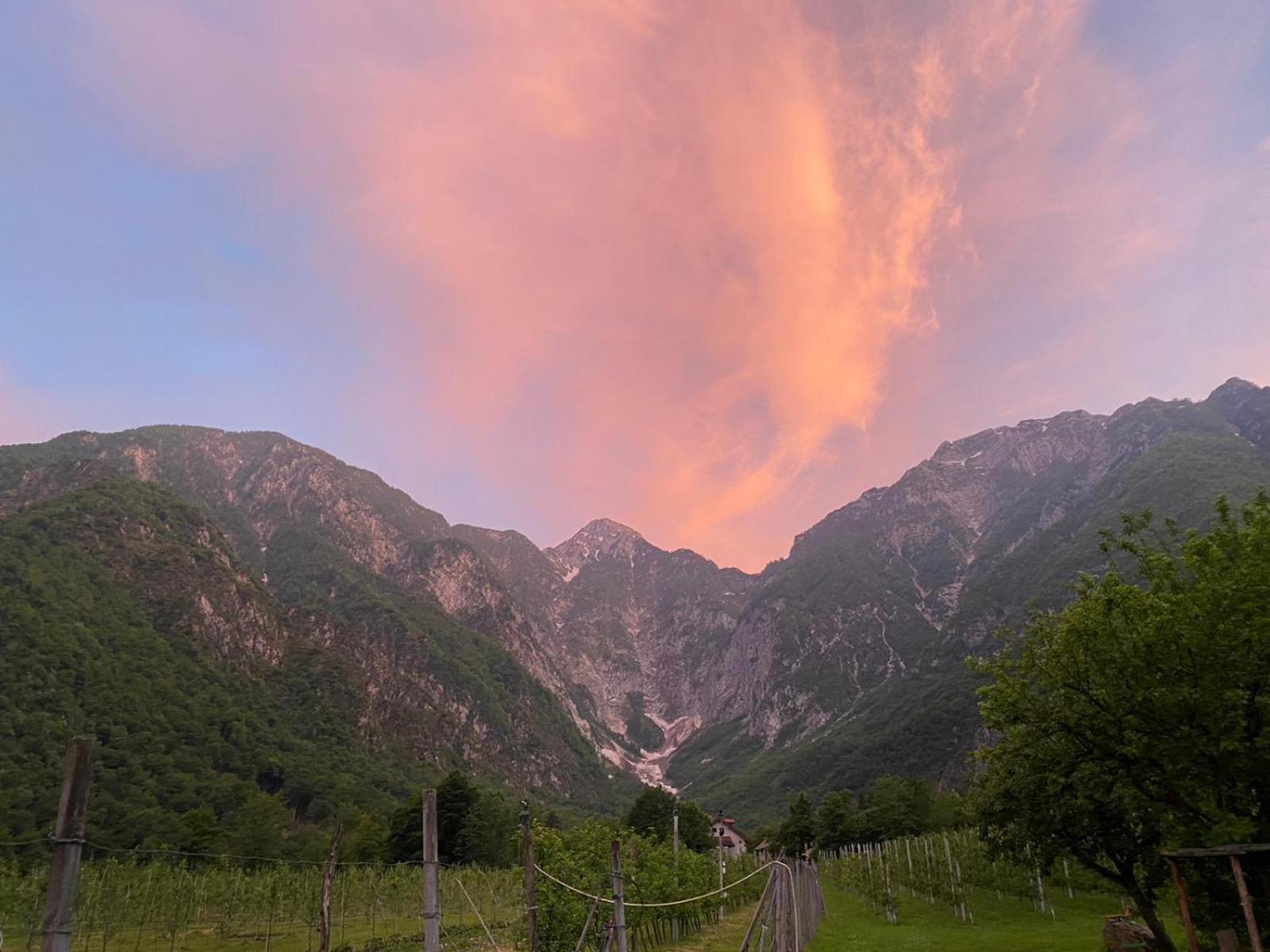 Agriturismo Pian Dei Tass バルチス エクステリア 写真