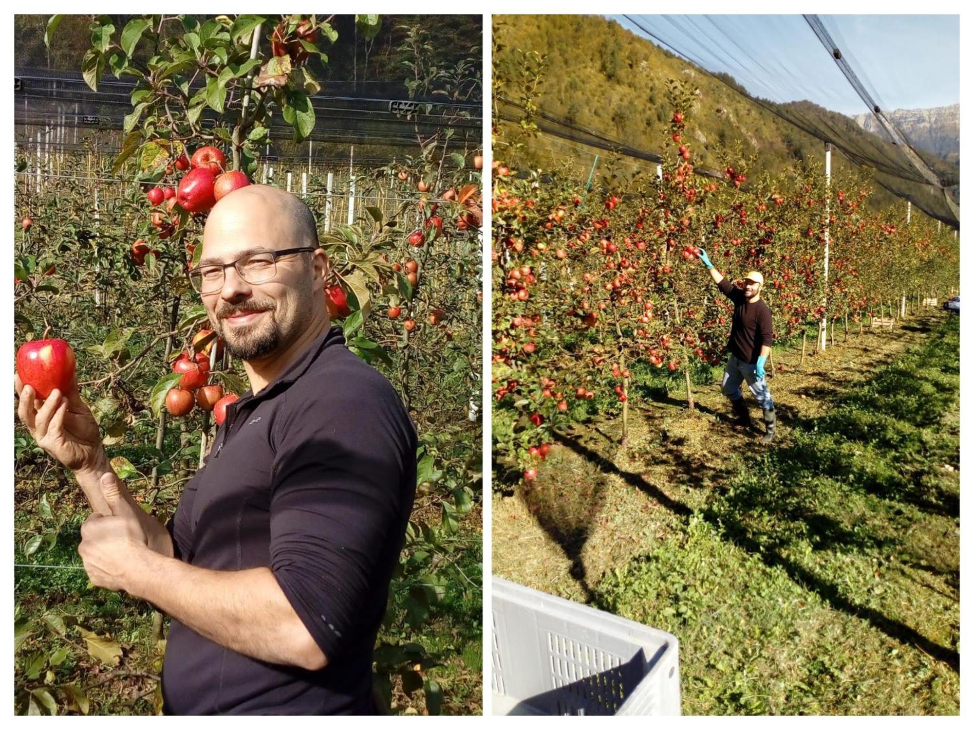 Agriturismo Pian Dei Tass バルチス エクステリア 写真