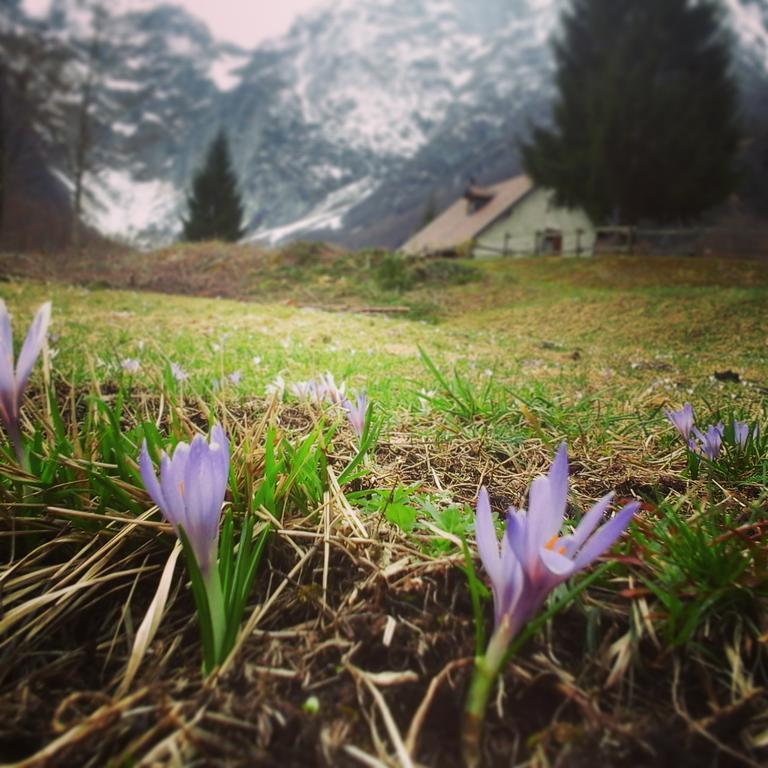 Agriturismo Pian Dei Tass バルチス エクステリア 写真