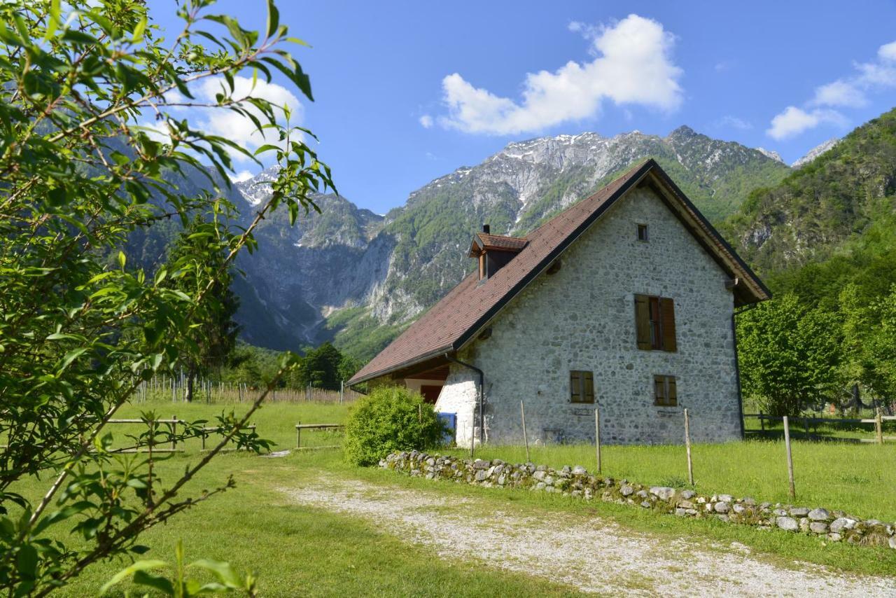 Agriturismo Pian Dei Tass バルチス エクステリア 写真